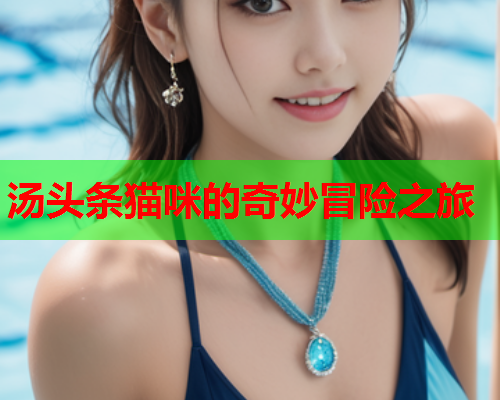 汤头条猫咪的奇妙冒险之旅