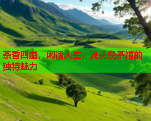 茶香四溢，闲话人生：汤头条茶馆的独特魅力
