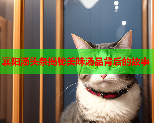 襄阳汤头条揭秘美味汤品背后的故事
