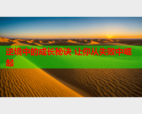 逆境中的成长秘诀 让你从失败中崛起