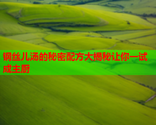 钢丝儿汤的秘密配方大揭秘让你一试成主厨