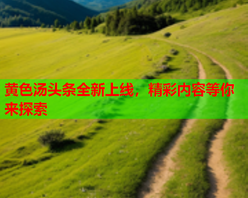 黄色汤头条全新上线，精彩内容等你来探索