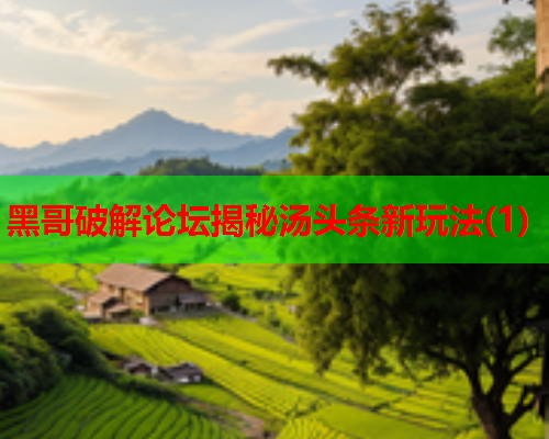 黑哥破解论坛揭秘汤头条新玩法(1)