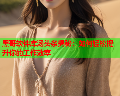 黑哥软件库汤头条揭秘：如何轻松提升你的工作效率