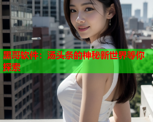 黑哥软件：汤头条的神秘新世界等你探索
