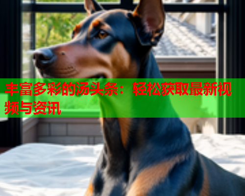 丰富多彩的汤头条：轻松获取最新视频与资讯