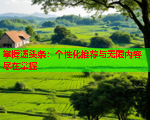 掌握汤头条：个性化推荐与无限内容尽在掌握