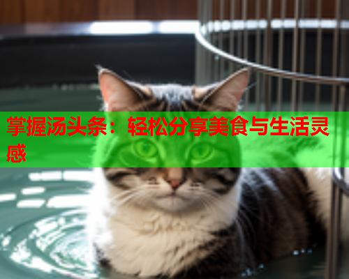 掌握汤头条：轻松分享美食与生活灵感