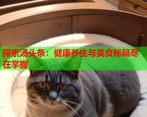 探索汤头条：健康养生与美食秘籍尽在掌握