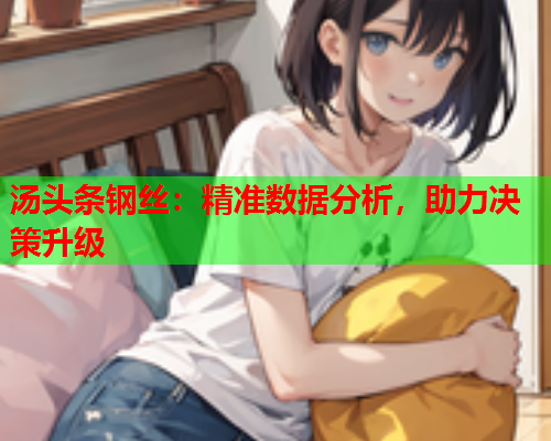 汤头条钢丝：精准数据分析，助力决策升级
