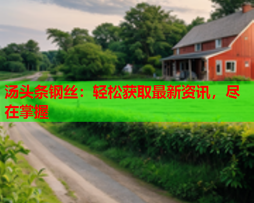 汤头条钢丝：轻松获取最新资讯，尽在掌握