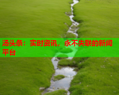汤头条：实时资讯，永不失联的新闻平台