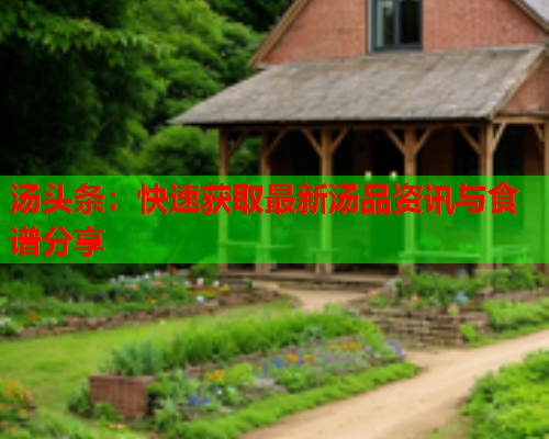 汤头条：快速获取最新汤品资讯与食谱分享