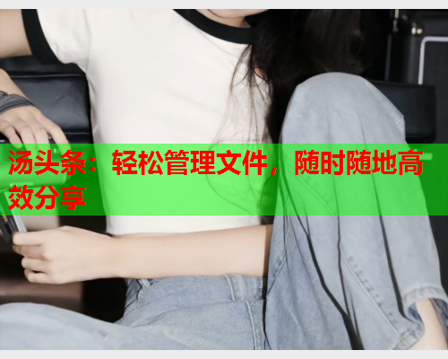 汤头条：轻松管理文件，随时随地高效分享